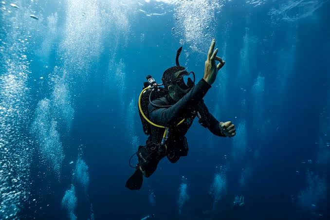 Divemaster Course