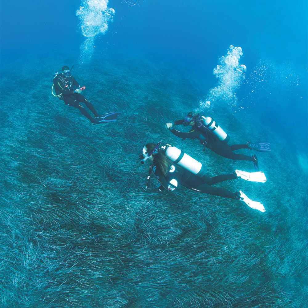 Divemaster Course 